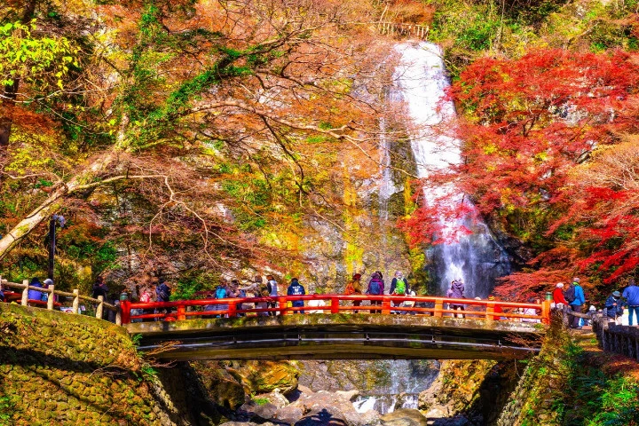 エリア画像