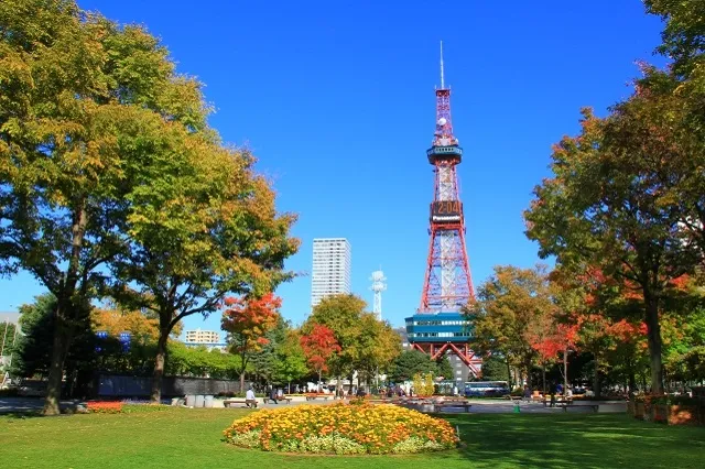 エリア画像