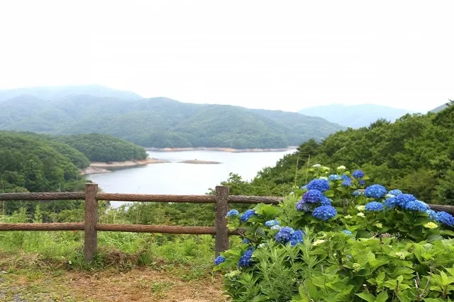 エリア画像