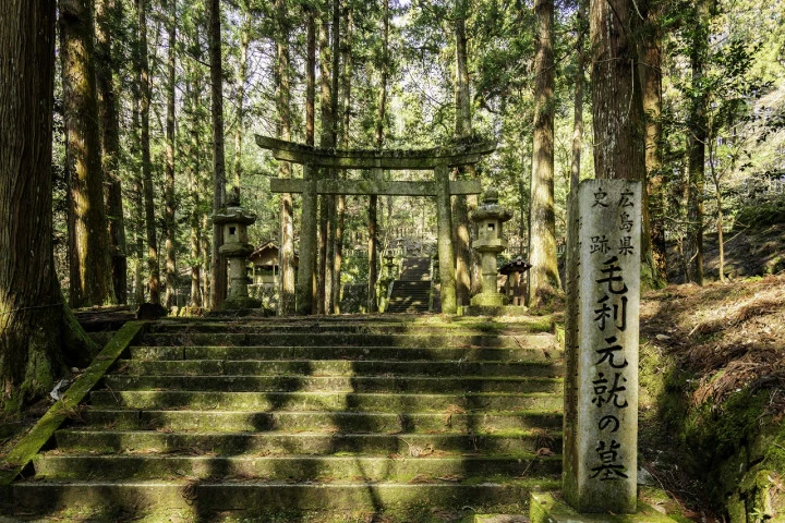 エリア画像