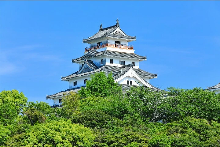 エリア画像