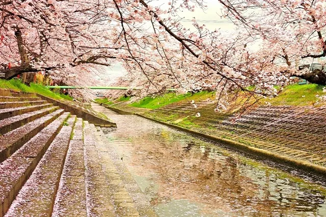 エリア画像