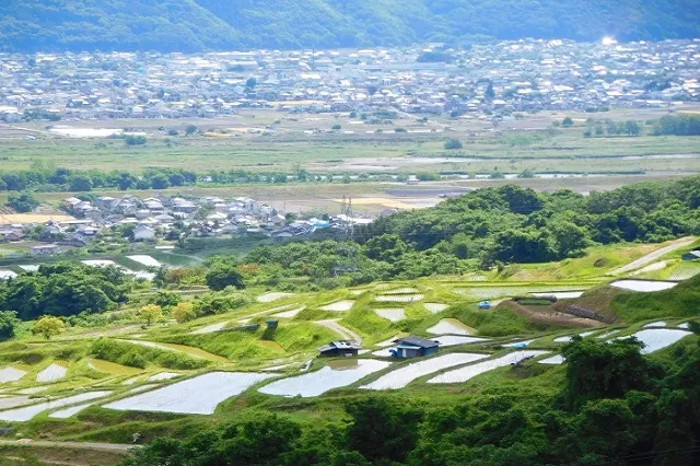 エリア画像