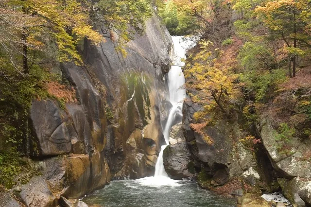 エリア画像
