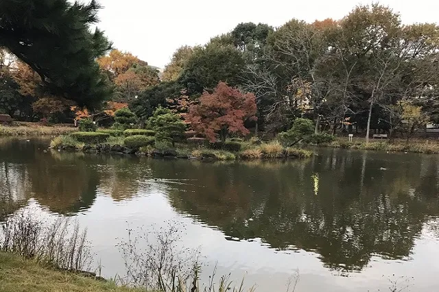 エリア画像