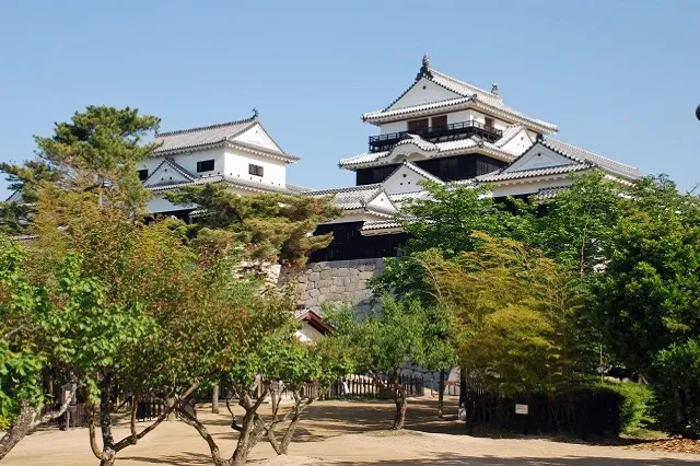 エリア画像