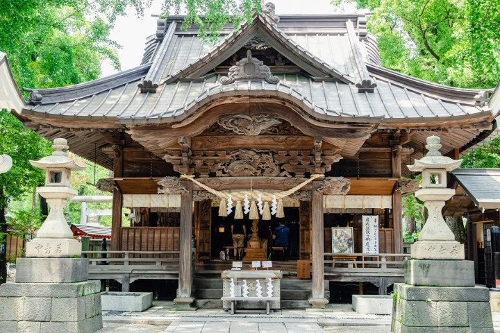 エリア画像