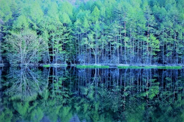 エリア画像
