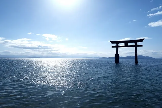 エリア画像