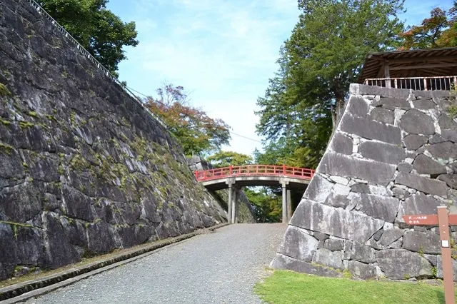 エリア画像
