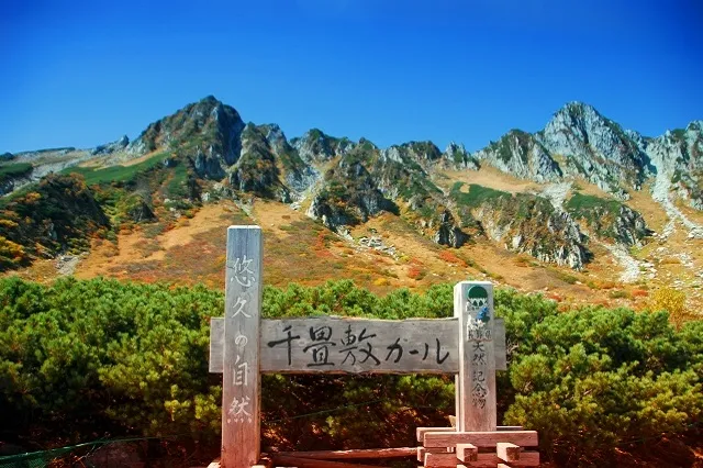 エリア画像