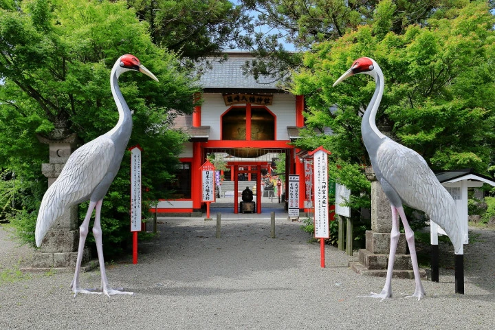 エリア画像