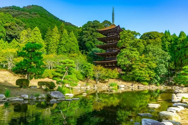エリア画像