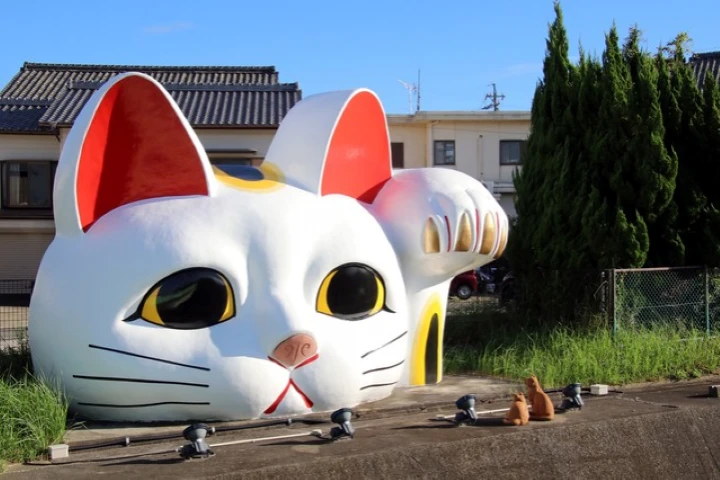 エリア画像
