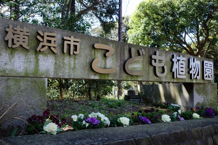 エリア画像