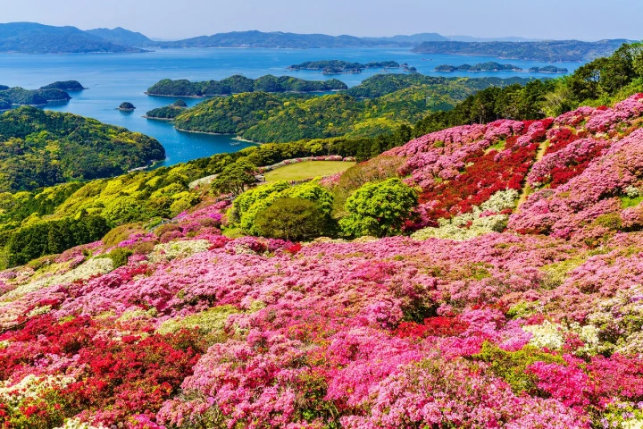エリア画像