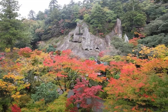 エリア画像