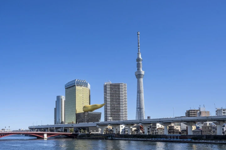 エリア画像