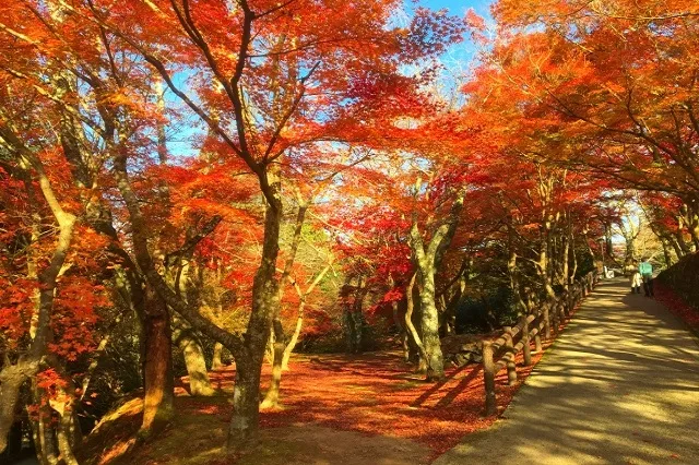 エリア画像