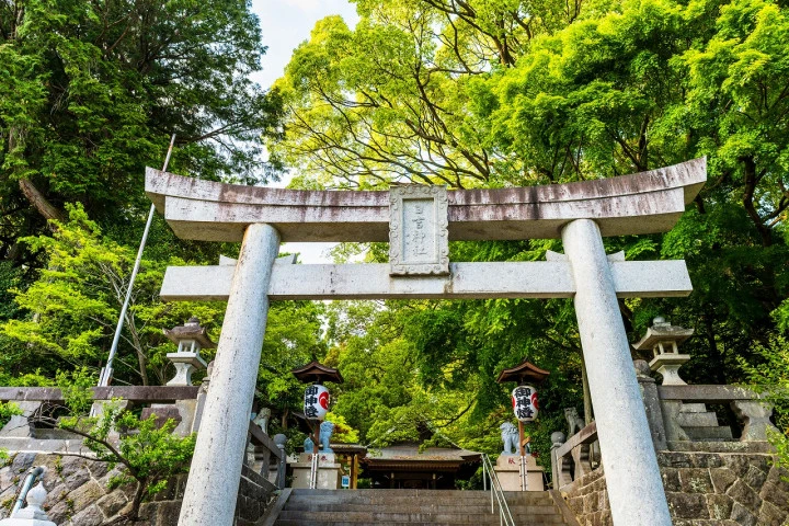 エリア画像