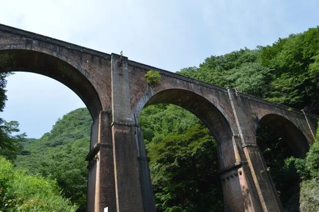 エリア画像