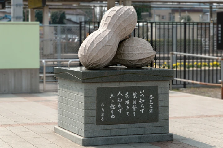 エリア画像