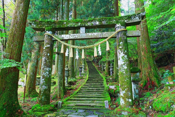 エリア画像