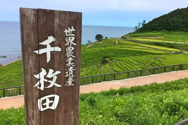 エリア画像