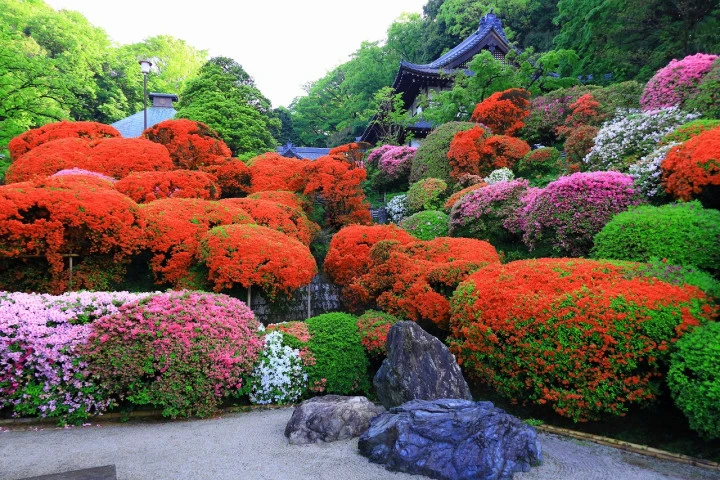エリア画像