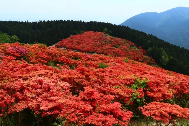エリア画像