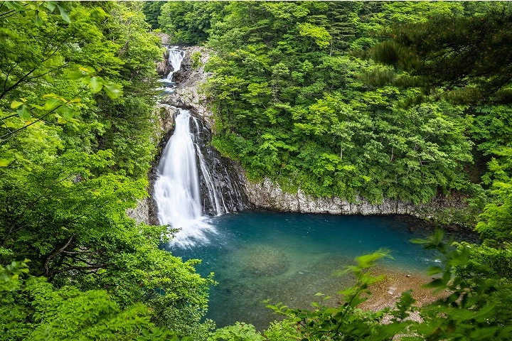 エリア画像