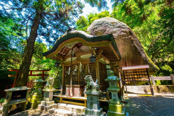 エリア画像