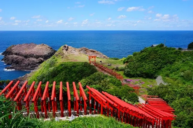 エリア画像
