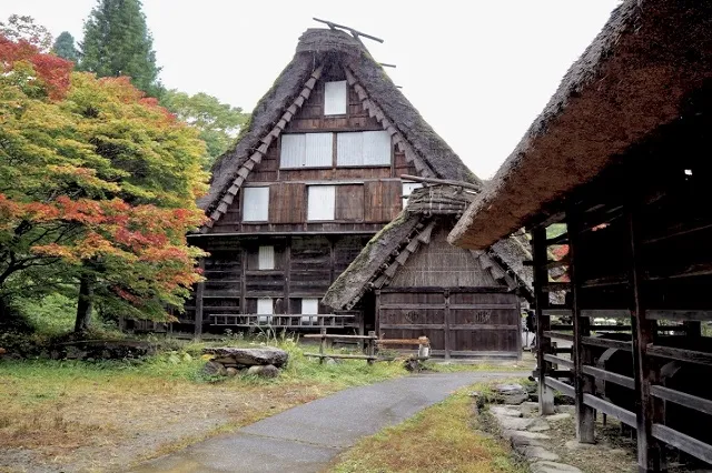 エリア画像