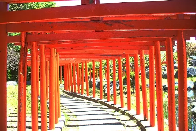 エリア画像