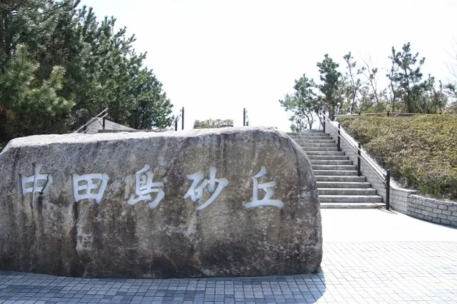 エリア画像