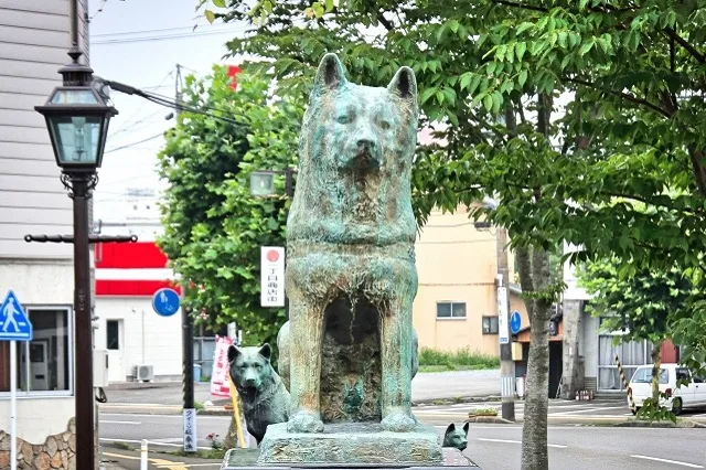 エリア画像