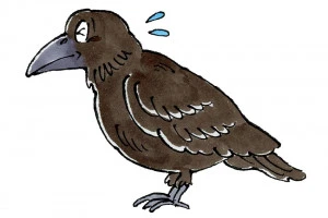 困るカラスのイラスト