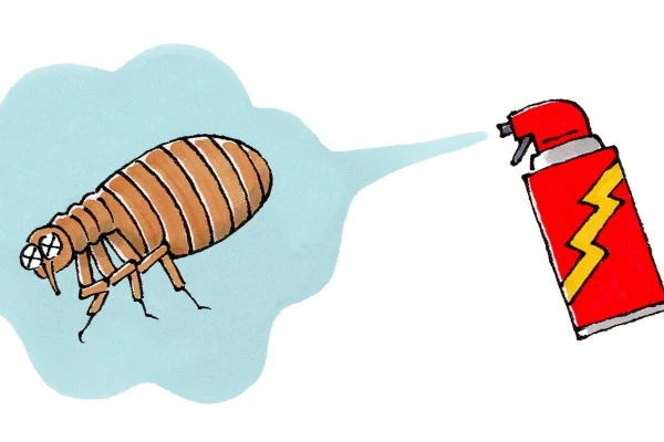 殺虫剤をかけられるノミのイラスト