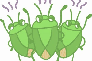 カメムシが大量発生しているイラスト