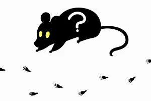 ネズミの足跡のイラスト