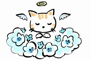 ペット葬儀のイラスト②