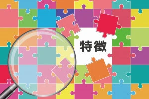 特徴と書かれたパズルのピースと虫眼鏡のイラスト