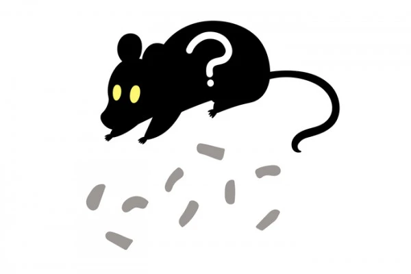 ラットサインとはなにか
