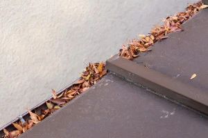 雨樋にたまった落ち葉の写真