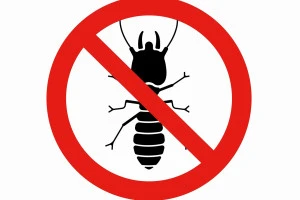 シロアリ駆除のイメージイラスト