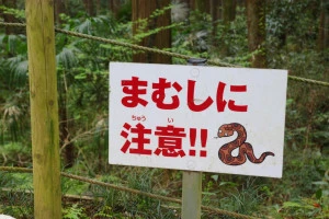 マムシの注意喚起が書いてある看板の写真