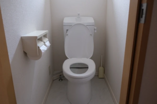 トイレの蓋が開いている写真