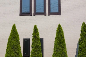 常緑樹で自宅の目隠しを行っている住宅の写真
