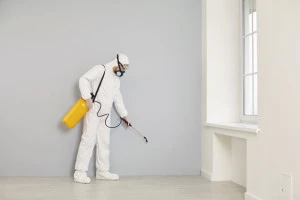 害虫駆除の専門事業者のイメージ写真